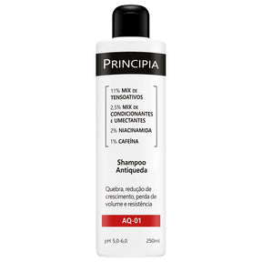 KIT SHAMPOO E CONDICIONADOR ANTIQUEDA AQ-01